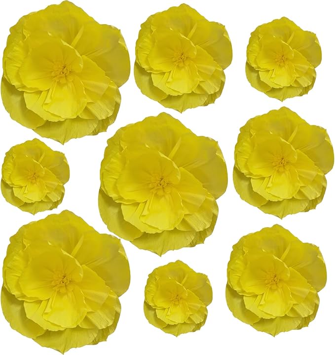 BRT Bearingshui Crepe Paper Flowers Decoration by BRT+Bearingshui