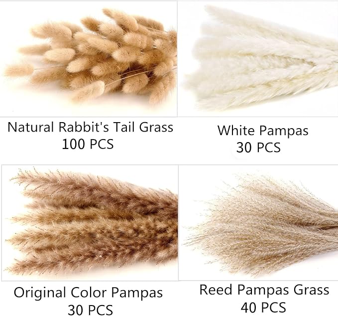 200PCS Dried Flower Bouquet – Pampas Grass, Floral Decor - Image 2
