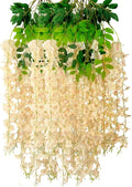 12 Pack Champagne Wisteria Hanging Flowers Garland, 3.77 Feet Artificial Flower by Luerbi