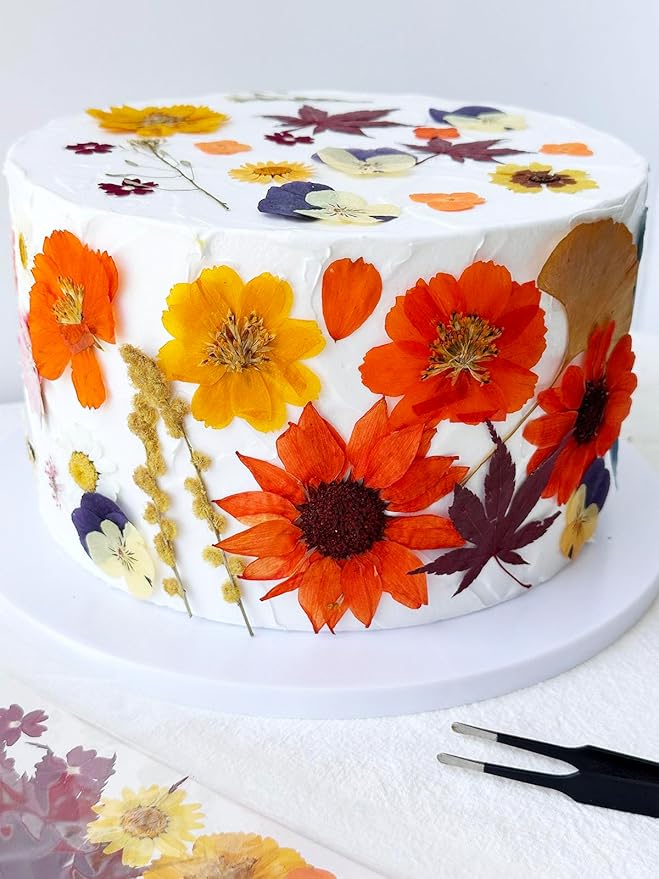 12Types Real Dried Pressed Flowers Sunflowers - Image 5