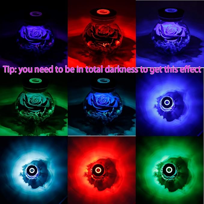 Preserved Real Roses with Colorful Mood Light Wishing Bottle, Eternal - Image 5