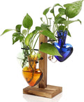 Plants Propagation Stations Plant Terrarium Kit Glass Planters by CYZglass
