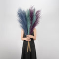 EVODIS Pampas Grass Decor Tall by EVODIS