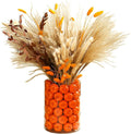 Fall Decor for Home Fall Vase by Unknown