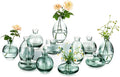 Glass Bud Vase for Centerpieces: 12Pcs Glasseam Green Mini Small Vases for by Glasseam