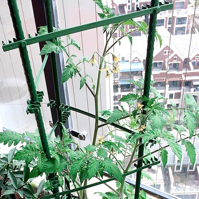 Orgrimmar Tomato Cages Garden Plant Support Stakes Outdoor Vegetable Trellis - Image 7