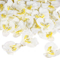 40 Pieces Orchid Petals Artificial Decorations Wedding Party Orchids Heads by Luinabio