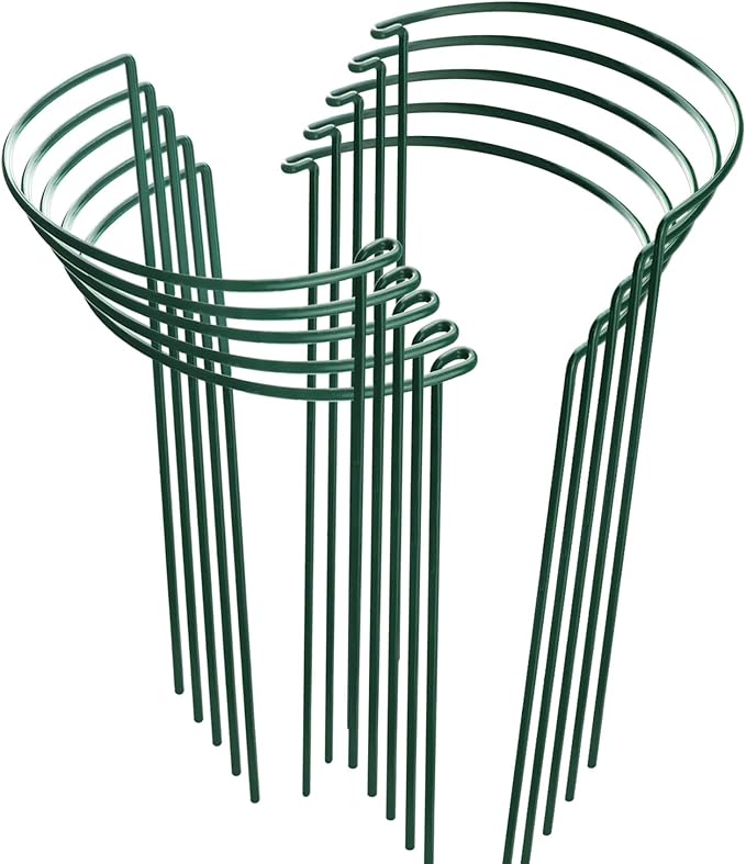 HiGift 10 Pack Peony Cages and Supports, Heavy Duty Metal Plant Support Stake by HiGift