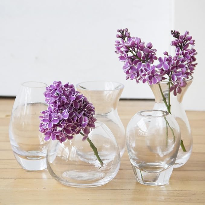 CHIVE ‘George’ Glass Bottle Flower Vases — Set of 5 — Small, Elegant Clear - Image 2