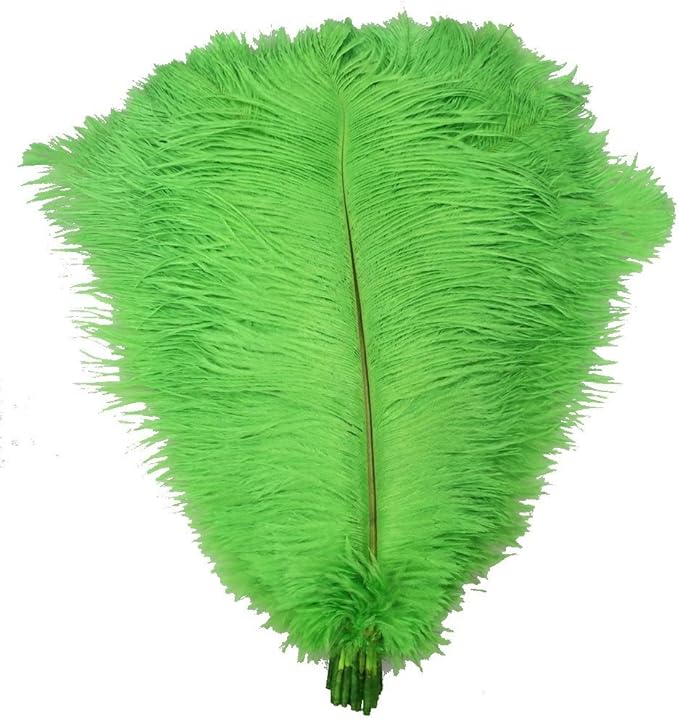 KOLIGHT® 40pcs 12''~14'' Natural Ostrich Feathers by KOLIGHT