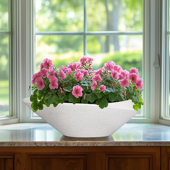 Bonsai Tree Pot - Image 4