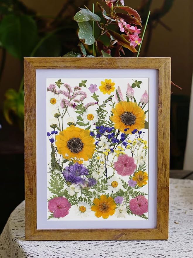 16 Types Boho Dried Pressed Flowers - Image 4