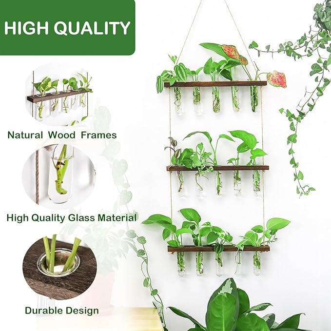 Ivolador Hanging Plant Propagation Tubes, 3 Tiered Wall Hanging Terrarium - Image 6
