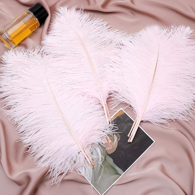 24pcs Natural Light Pink Ostrich Feathers 10-12inch - Image 5