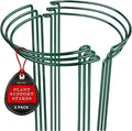 6 Pack Plant Support Stakes, Metal Monstera Plant Support Stakes by Soupiar