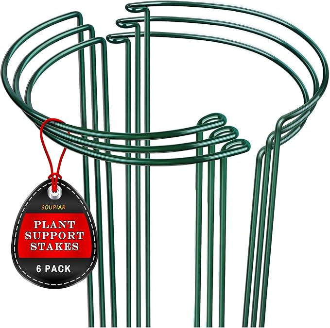 6 Pack Plant Support Stakes, Metal Monstera Plant Support Stakes by Soupiar
