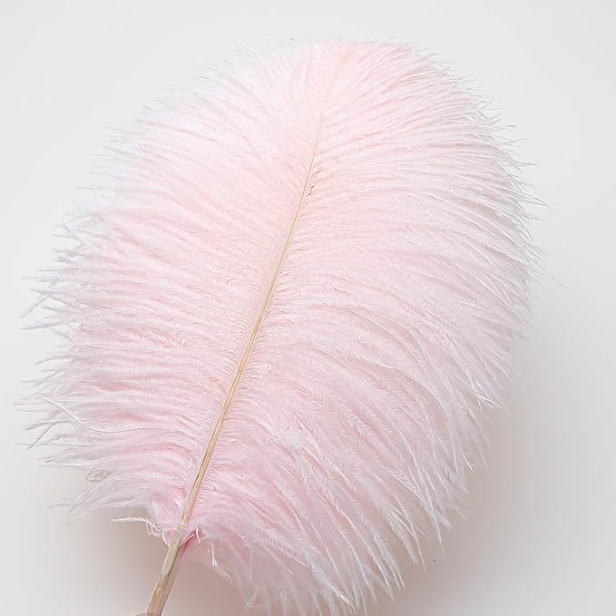 Ballinger Light Pink Ostrich Feathers - Image 2
