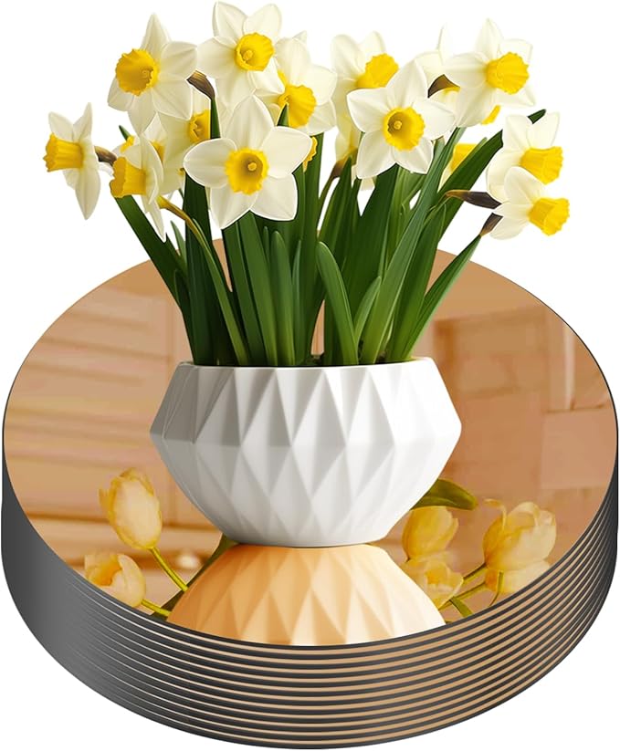 Glass Round Mirror Centerpieces by Unknown