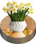 Glass Round Mirror Centerpieces by Unknown
