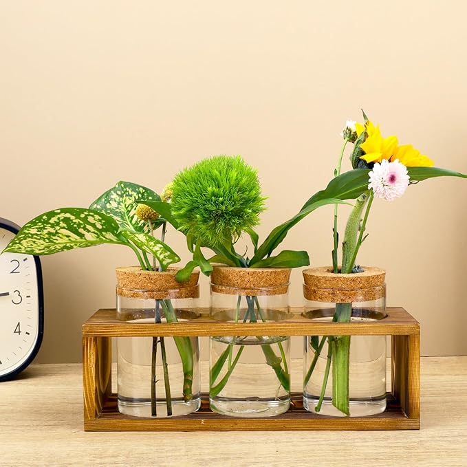Propagation Stations, Plant Terrarium - Image 5