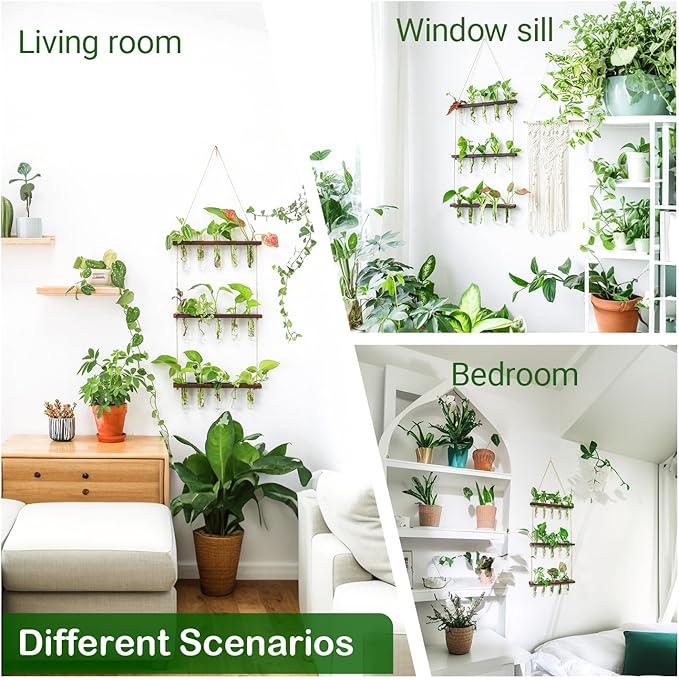 Ivolador Hanging Plant Propagation Tubes, 3 Tiered Wall Hanging Terrarium - Image 5