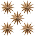 5 Pcs 12-Pointed Brown Paper Star Lanterns 12 Inch Hanging Lamp Rustic Paper by EasyJoy