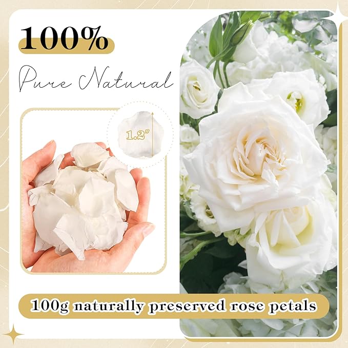 380 PCS White Dired Rose Petals 3.53oz/100g Natural Real Rose Flower Petals - Image 2