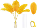 Holmgren Ostrich Feather for Centerpieces by Holmgren
