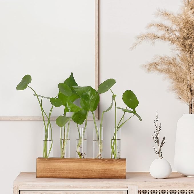 YIBOT Propagation Stations, Plant Terrarium - Image 4