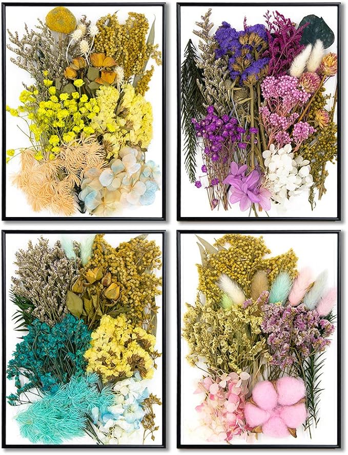 Vignee Real Dried Pressed Leaf Flowers-Multiple Colorful Pressed Flowers Daisies - Image 7