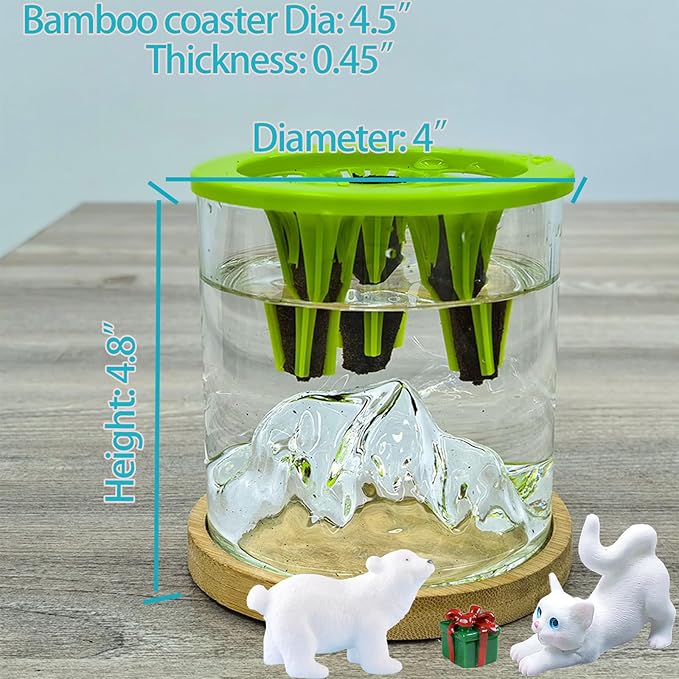 4 in 1 Plant Propagation Station Hydroponic Vase Planter Pot, Indoor Glass - Image 9