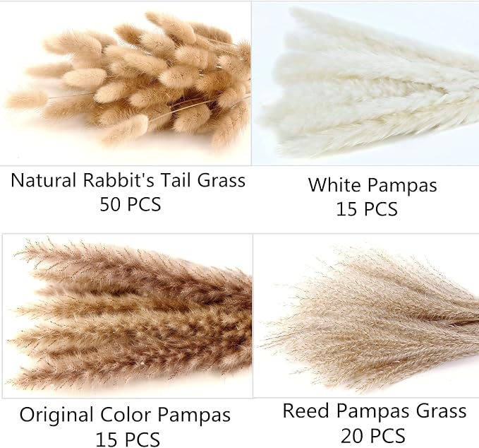 Dried Pampas Grass Decor, 100 Stems Pampas Grass Contains Bunny Tails Dried - Image 4