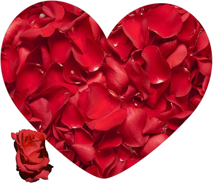 3.5 Oz Dried Rose Petals Wedding Biodegradable Petals, Natural Preservation - Image 2