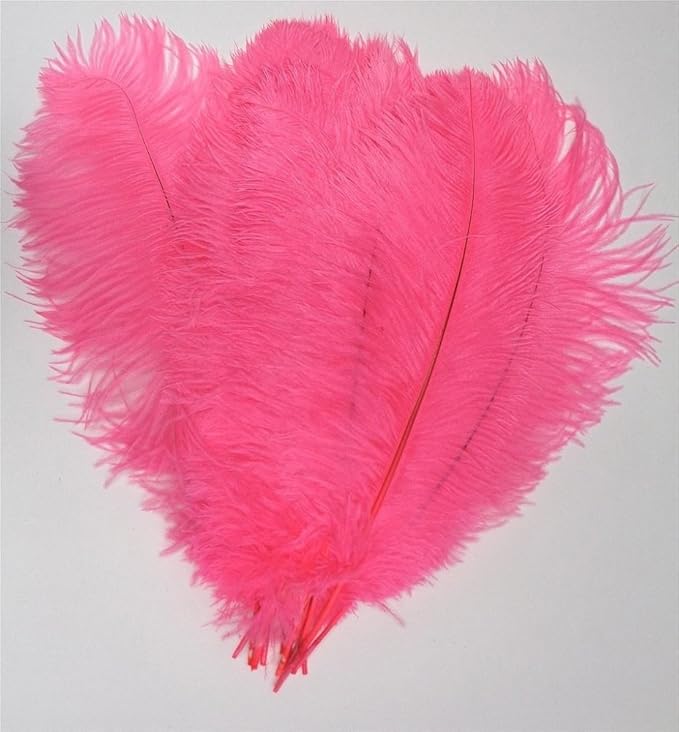 KOLIGHT 40pcs 12''~14'' Natural Ostrich Feathers - Image 2