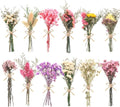 10/12/24/36 Pack Mini Dried Flowers by Unknown
