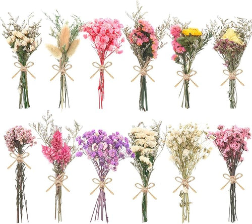 10/12/24/36 Pack Mini Dried Flowers by Unknown