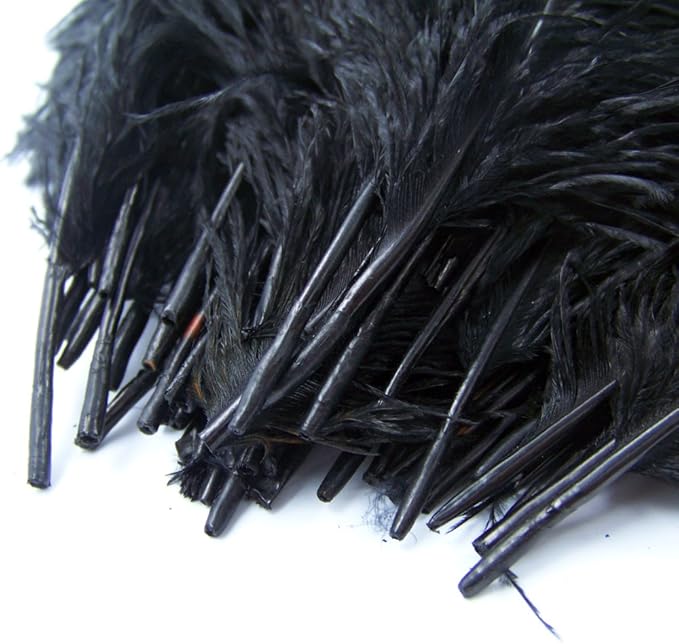 KOLIGHT 40pcs 12''~14'' Natural Ostrich Feathers - Image 4