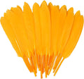 FeelfunFeather 120pcs Golden Yellow Goose Cochettes Feather Natural Bulk 4-6 by FeelFunFeather