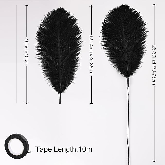 Bulk Black Ostrich Feathers - Image 3