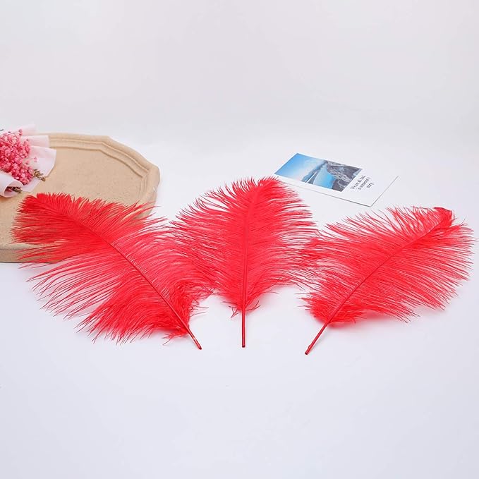 Ballinger Red Ostrich Feathers Bulk - Image 9