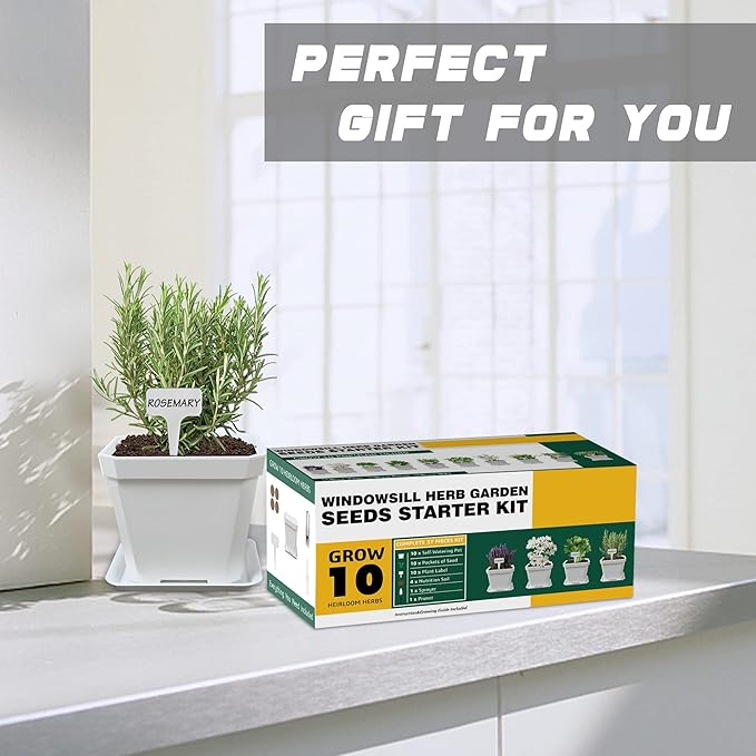 10 Herb Seeds Garden Starter Grow Kit - Image 7