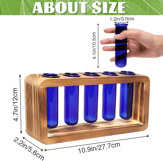 Glass Plant Propagation Station - Image 2