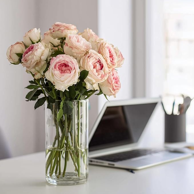 12pcs Clear Cylinder Vases for Centerpieces, Glass Flower Vases for Wedding - Image 5