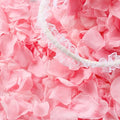 300 PCS Real Pink Dried Rose Petals Confetti by Eslibin