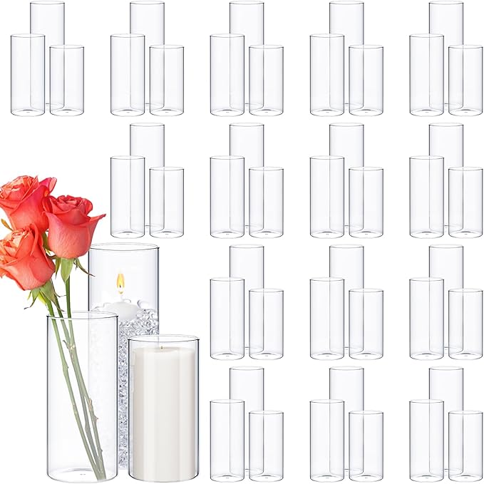 Thin Glass Cylinder Vases 2.5''/3.3'' Diameter 2mm Wall Thickness Clear Flowers by Didaey