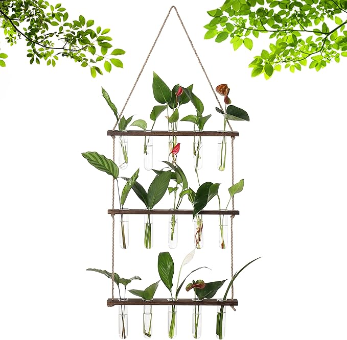 YIBOT Propagation Stations, 3 Tiered Wall Hanging Terrarium - Image 9