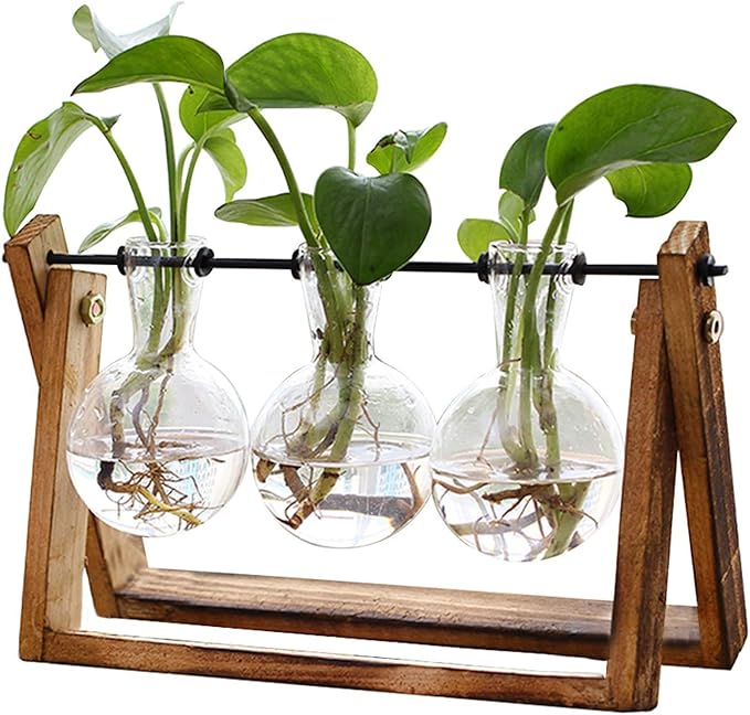 XXXFLOWER Plant Terrarium with Wooden Stand, Air Planter Bulb Glass Vase Metal by XXXFLOWER