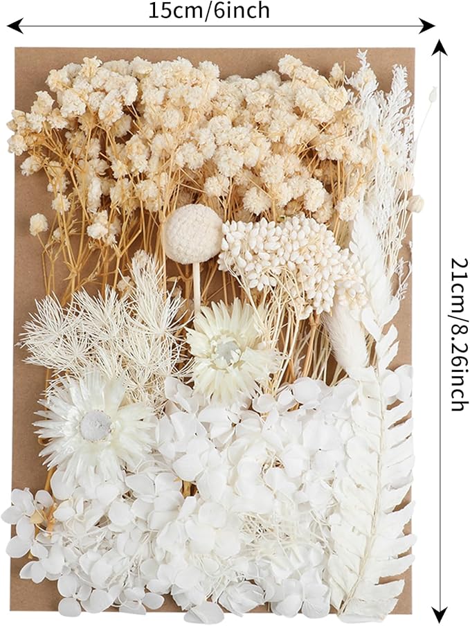 Dried Flowers, Dried Flowers Set - Image 2