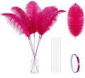 Holmgren Hot Pink Ostrich Feathers by Holmgren