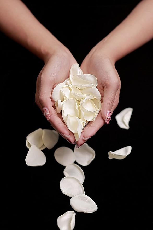 TINGE TIME Silk Rose Petals Flower Petals - Image 6